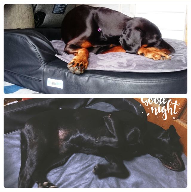 f:id:anri0508:20180822104723j:plain f:id:anri0508:20180822104723j:plain