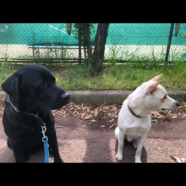 f:id:anri0508:20190503125158j:plain