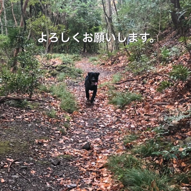 f:id:anri0508:20200106170812j:plain f:id:anri0508:20200106170812j:plain