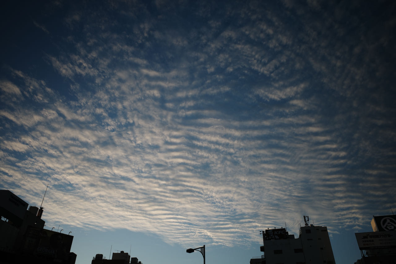 f:id:ansumo:20191013165237j:plain