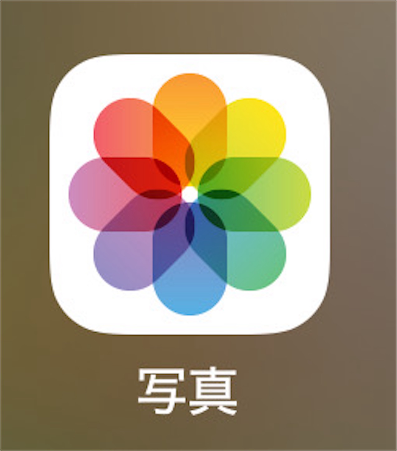 f:id:answer1:20260411223732j:image