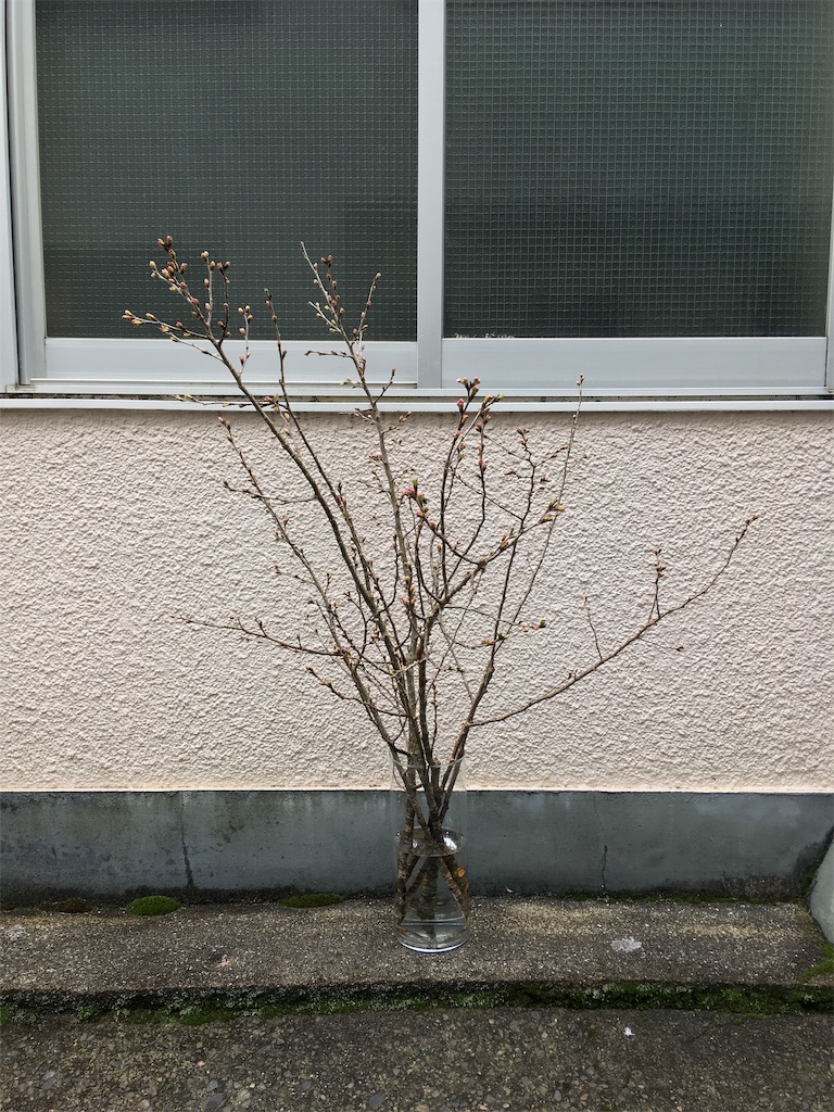 f:id:ant7wharf148:20190228232126j:image