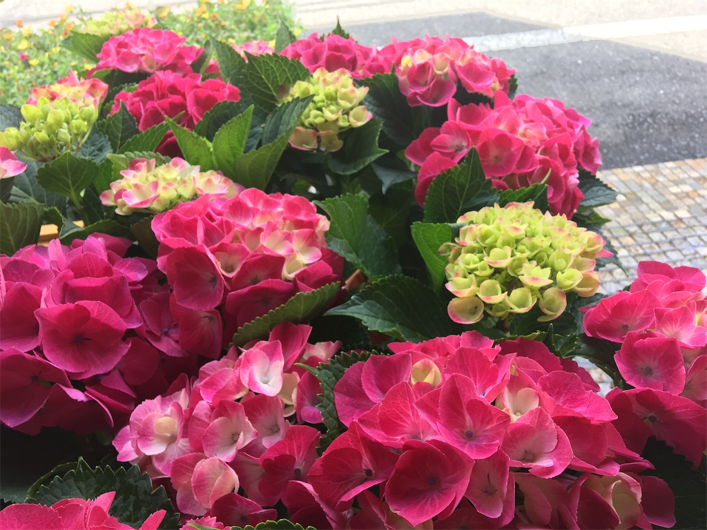 f:id:ant7wharf148:20190530111951j:image