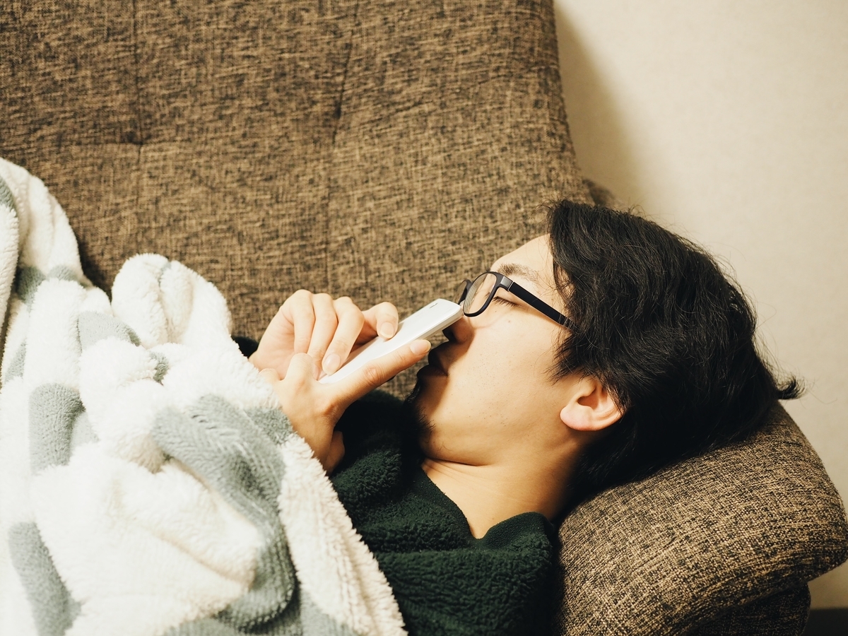 f:id:ant_arichan:20220109223259j:plain