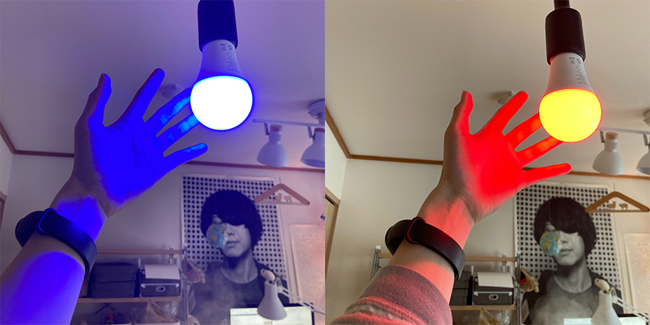 f:id:ant_arichan:20220319113626j:plain