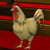 f:id:antagatanu:20200109104845j:plain