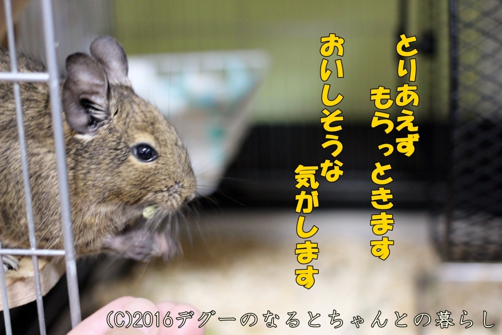 f:id:antcheb:20171028183516j:plain f:id:antcheb:20171028183516j:plain