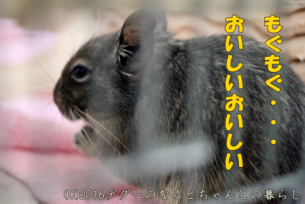 f:id:antcheb:20171028225230j:plain f:id:antcheb:20171028225230j:plain