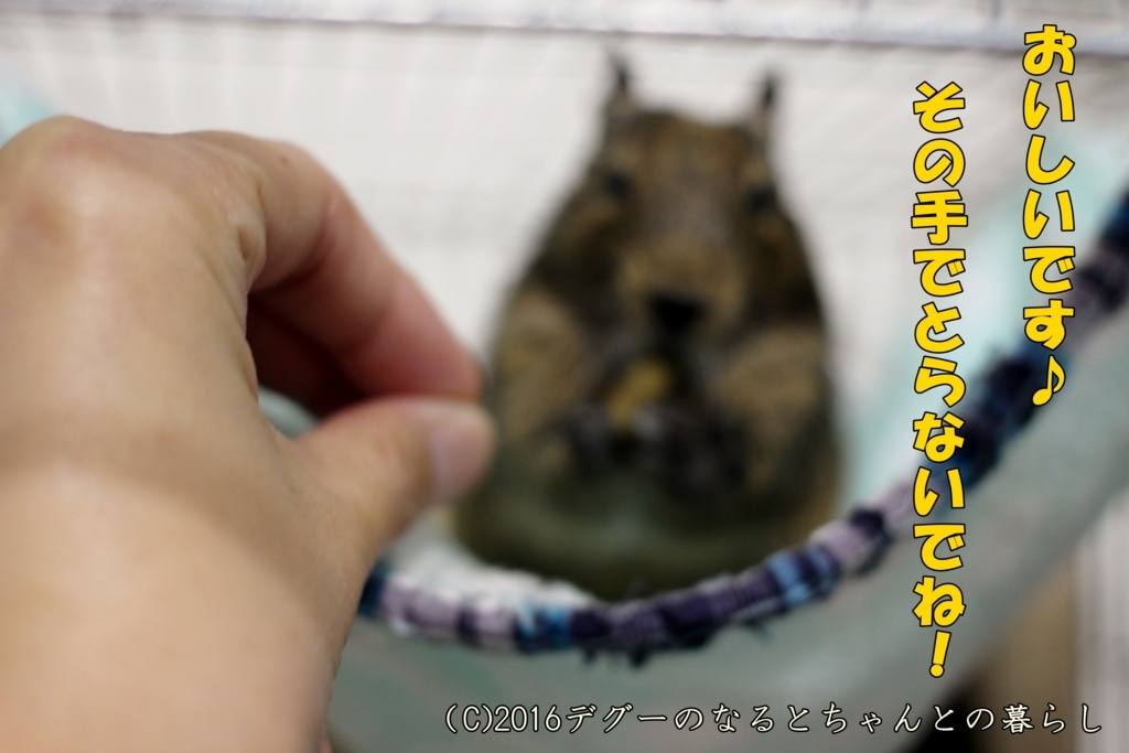 f:id:antcheb:20171028230211j:plain f:id:antcheb:20171028230211j:plain