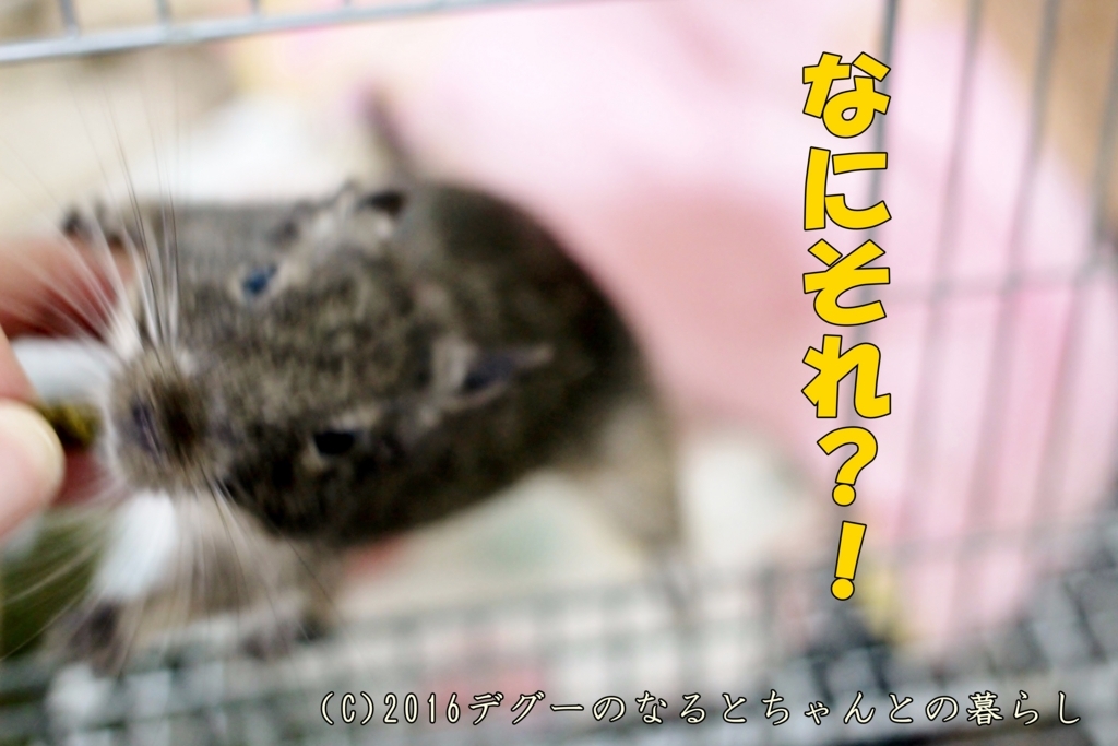 f:id:antcheb:20171028231309j:plain f:id:antcheb:20171028231309j:plain