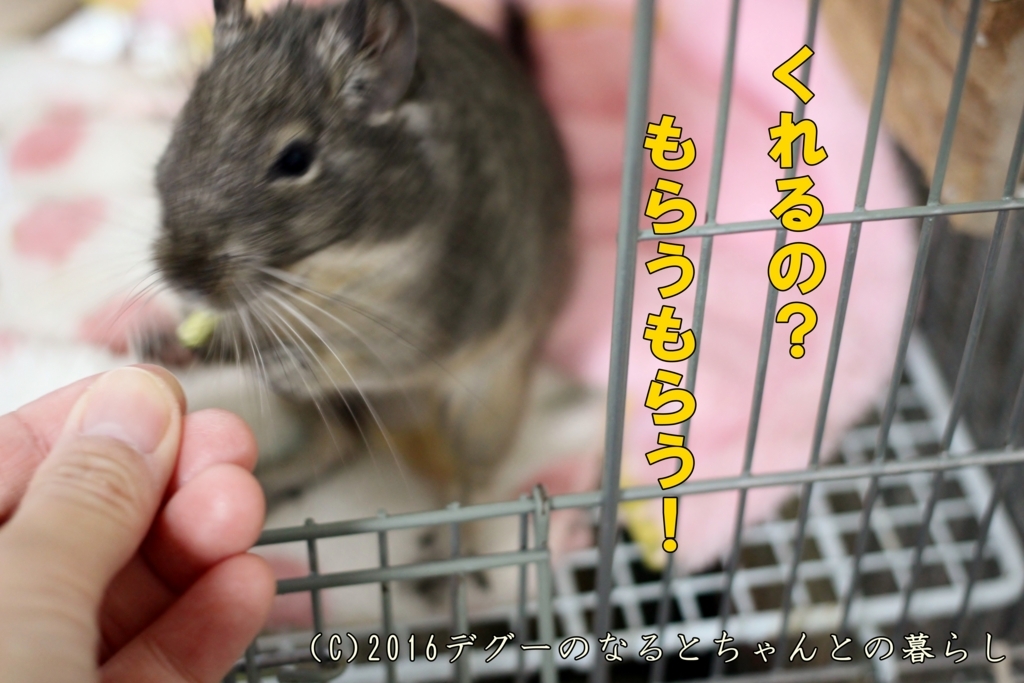 f:id:antcheb:20171028231340j:plain f:id:antcheb:20171028231340j:plain