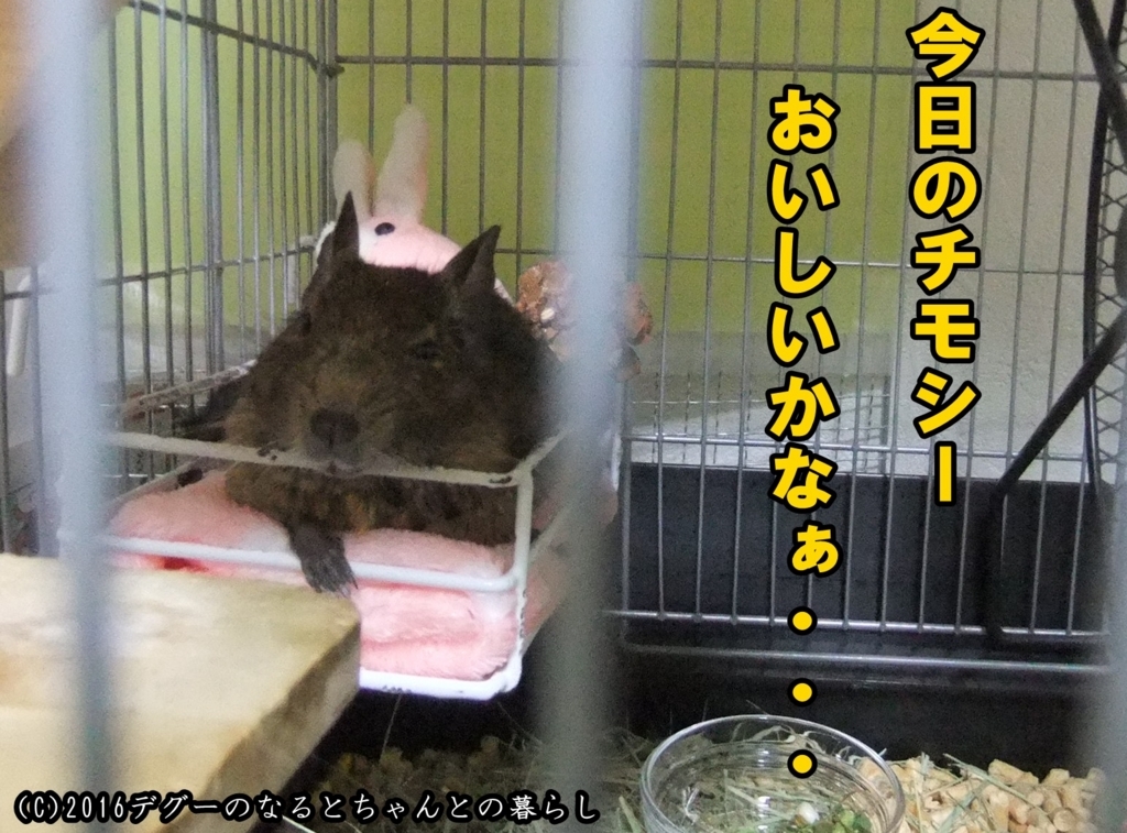 f:id:antcheb:20180716181412j:plain f:id:antcheb:20180716181412j:plain