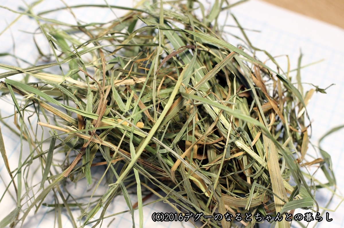 f:id:antcheb:20190504225229j:plain f:id:antcheb:20190504225229j:plain
