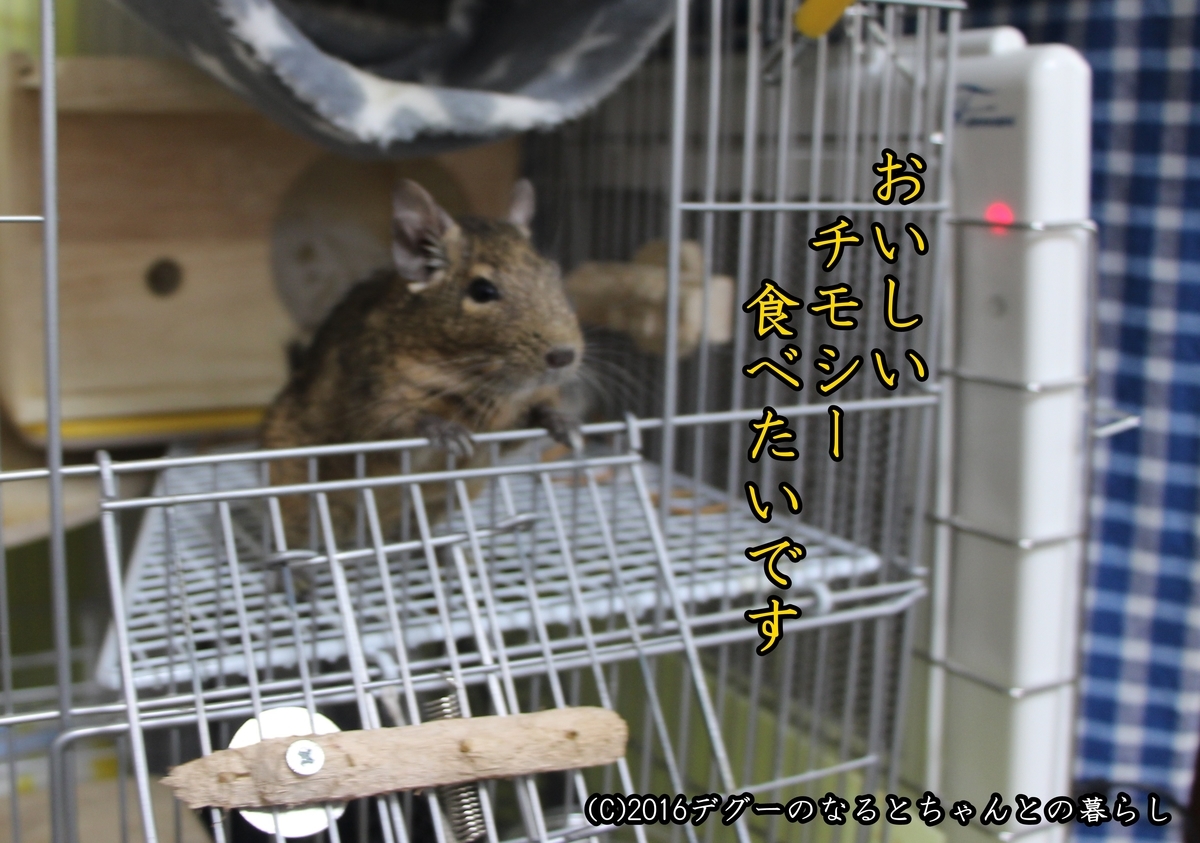f:id:antcheb:20190504231722j:plain f:id:antcheb:20190504231722j:plain