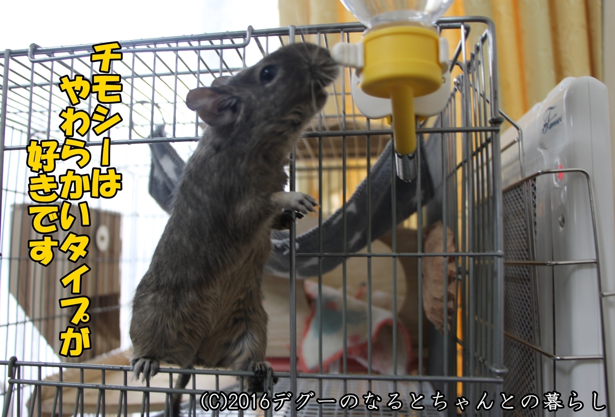 f:id:antcheb:20190504231826j:plain f:id:antcheb:20190504231826j:plain