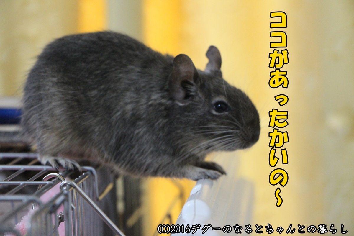 f:id:antcheb:20190504233306j:plain f:id:antcheb:20190504233306j:plain