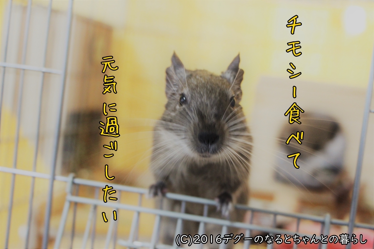 f:id:antcheb:20200927184430j:plain f:id:antcheb:20200927184430j:plain