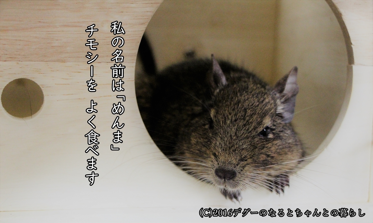 f:id:antcheb:20200927184456j:plain f:id:antcheb:20200927184456j:plain