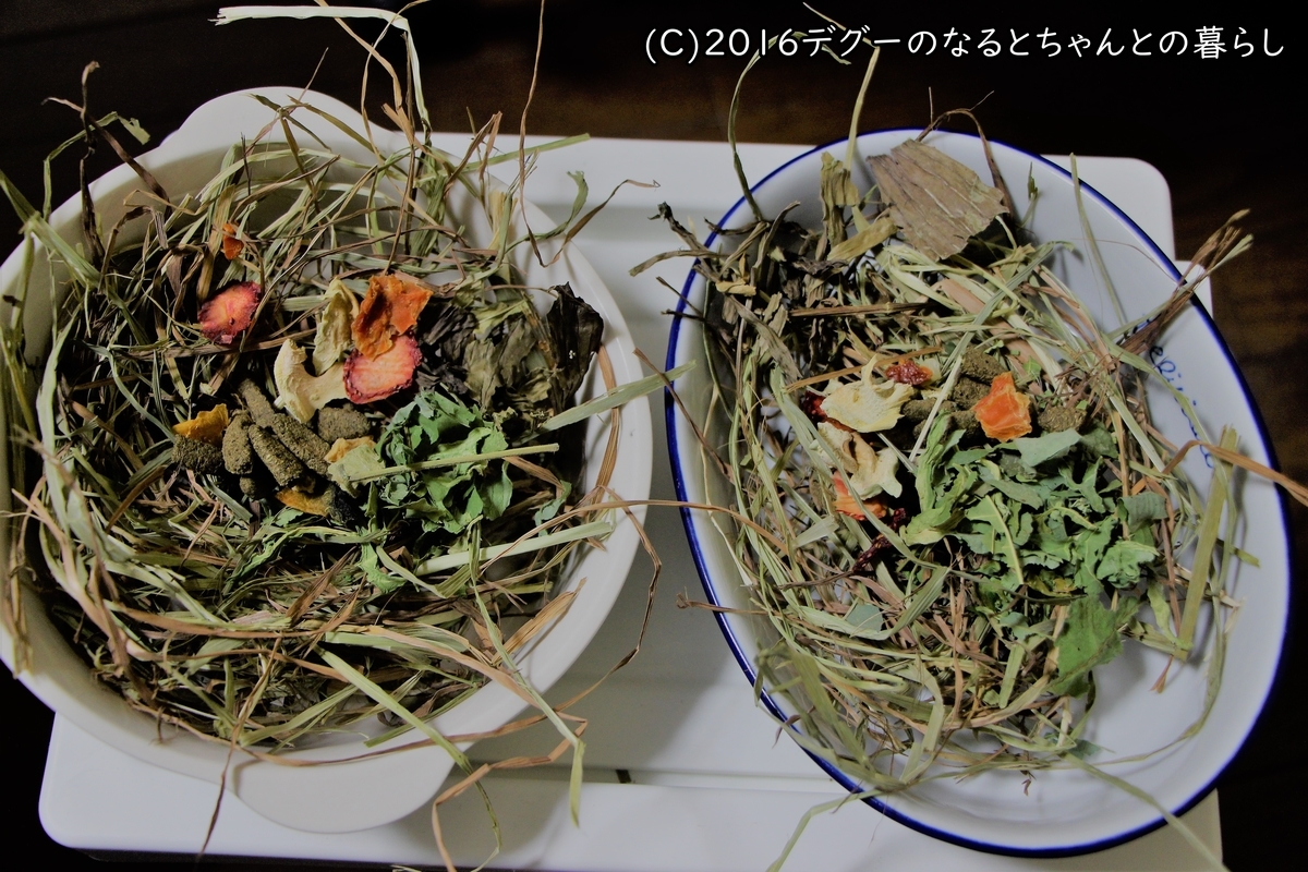 f:id:antcheb:20200927201449j:plain f:id:antcheb:20200927201449j:plain