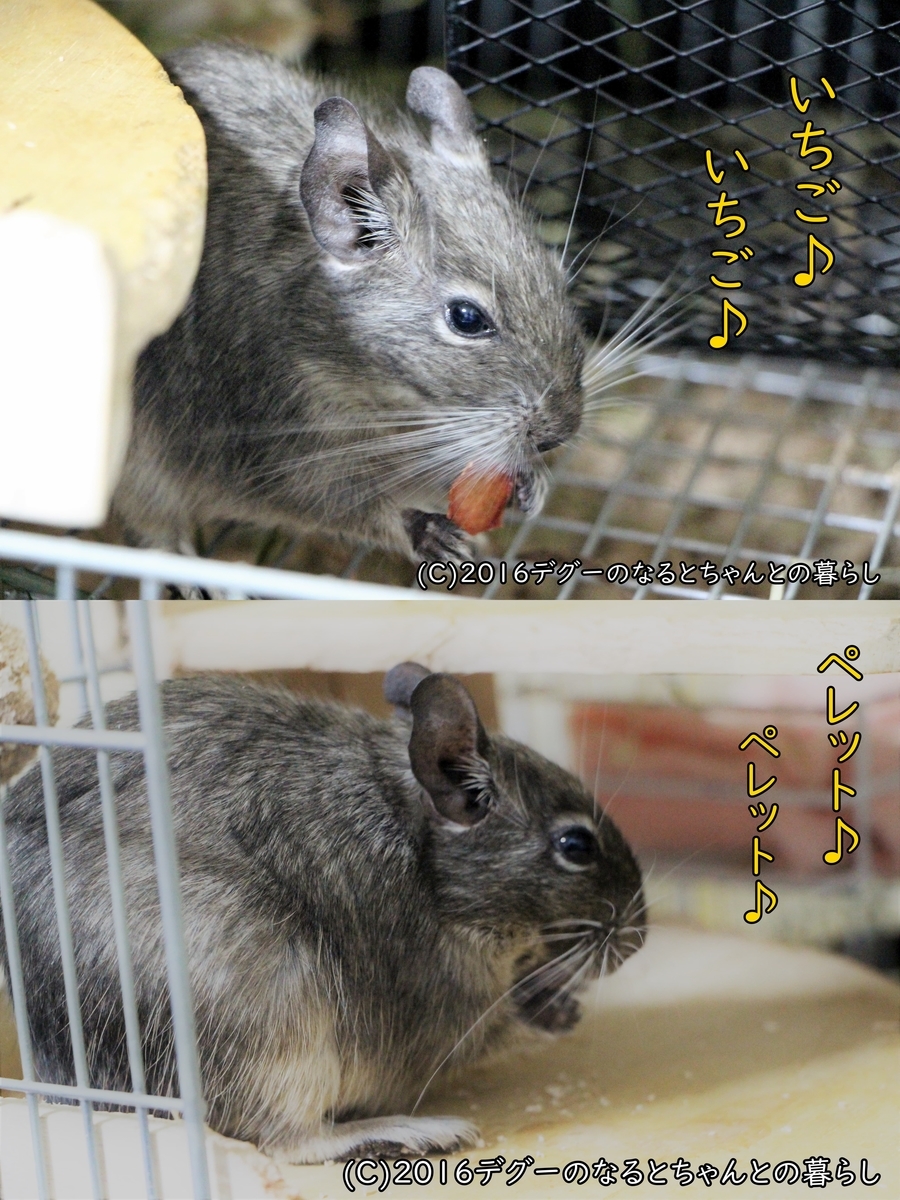 f:id:antcheb:20200927203115j:plain f:id:antcheb:20200927203115j:plain