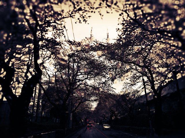 f:id:anteaka:20140404090002j:image:w320
