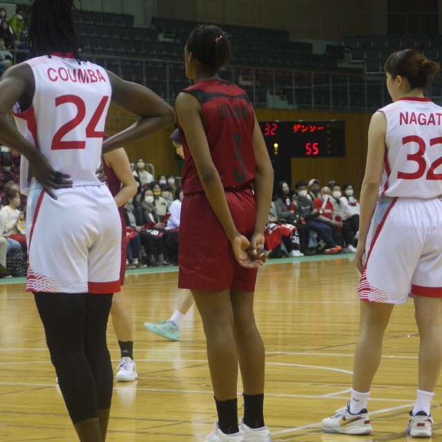 f:id:antelopes_7_12_23:20230321212642j:image