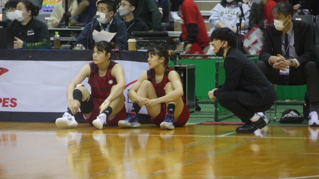 f:id:antelopes_7_12_23:20230321212837j:image