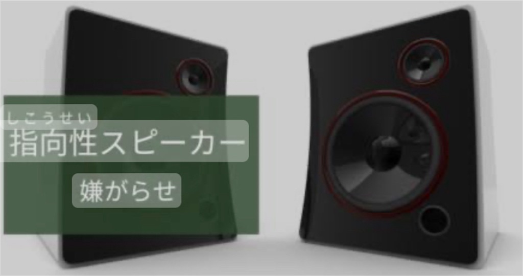 f:id:anthriumu888:20240327222010j:image