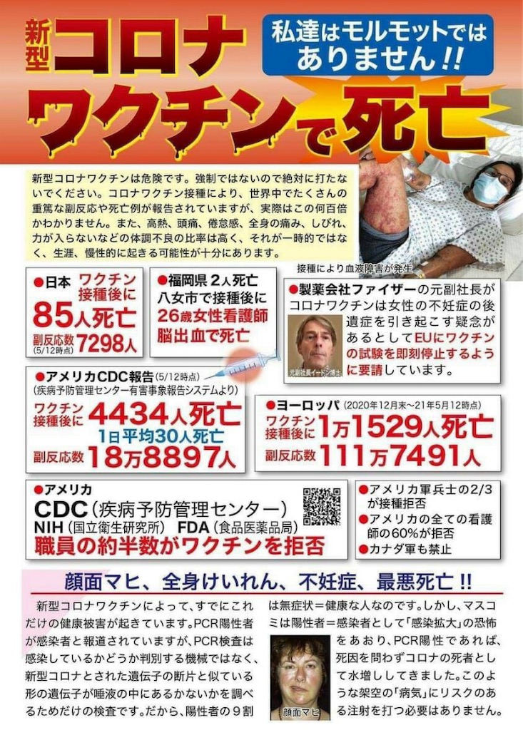 f:id:anthriumu888:20240411222939j:image