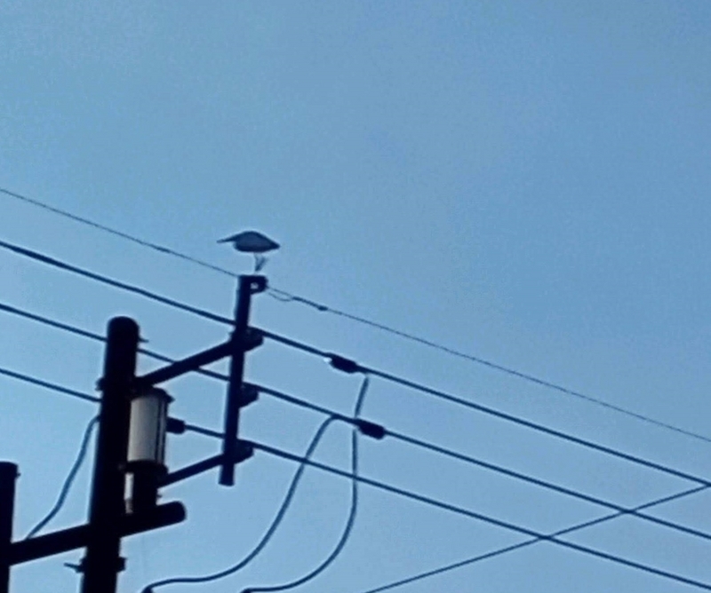 20231118173253