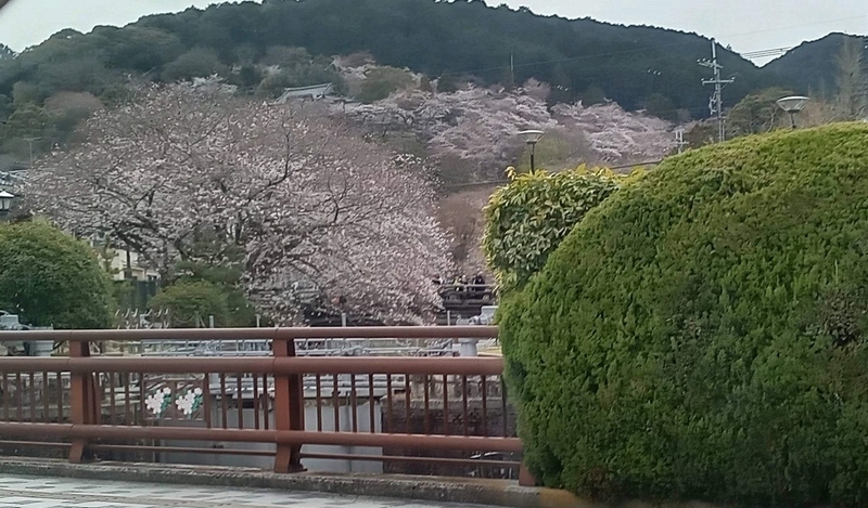 20240404202925