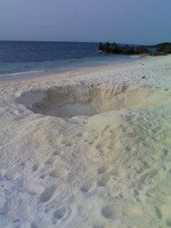 f:id:antonian:20070331174226j:image