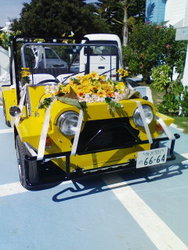 f:id:antonian:20070623215037j:image