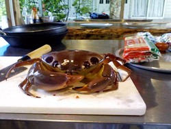 f:id:antonian:20080423115633j:image f:id:antonian:20080423115633j:image