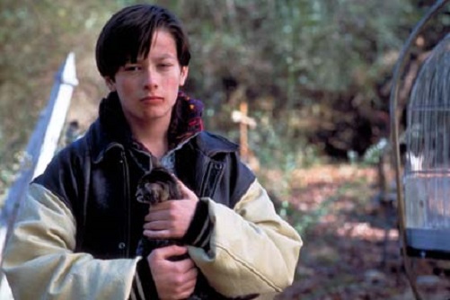 ペット・セメタリー2 - anttiorbの映画、映像の世界