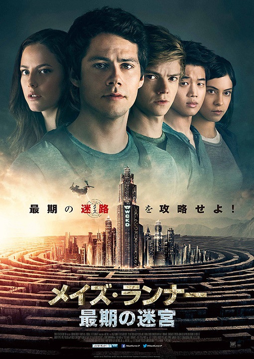 イメージ 7