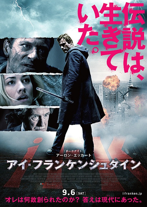 イメージ 7