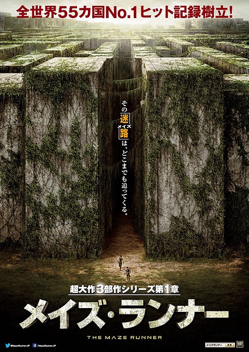 イメージ 7