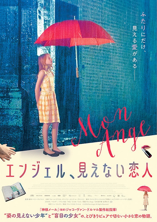 イメージ 7