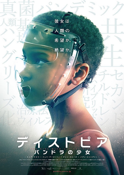 イメージ 7