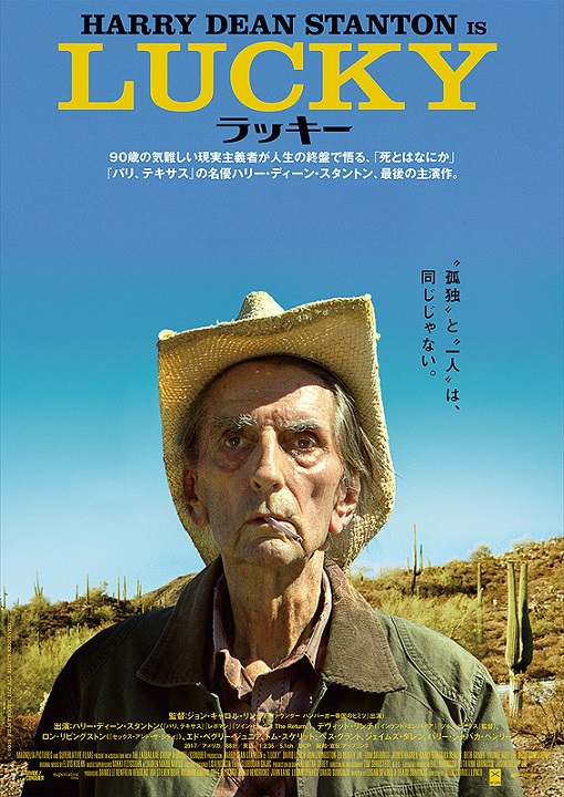イメージ 7