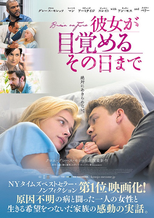 イメージ 7