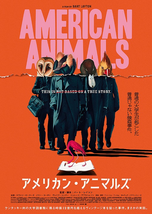イメージ 8