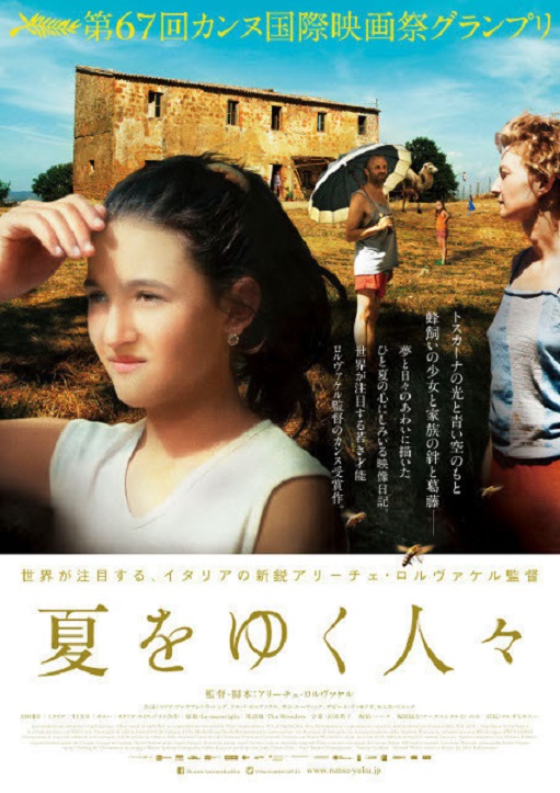 イメージ 7