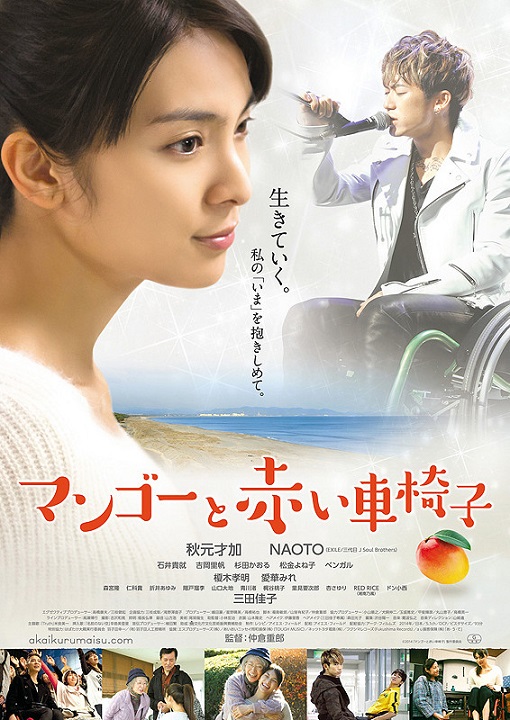 イメージ 7