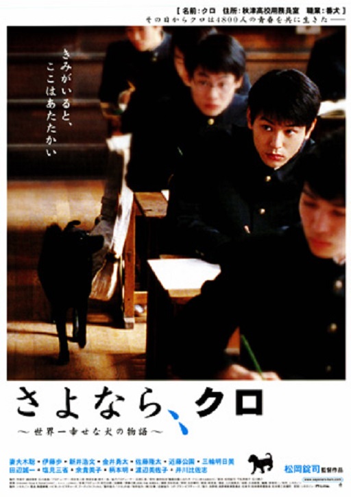 イメージ 7