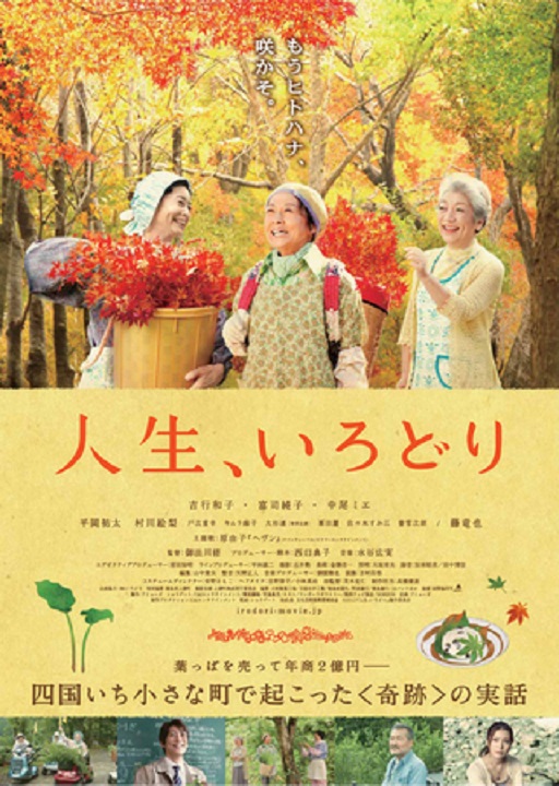イメージ 6