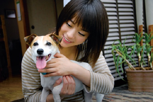 イメージ 5