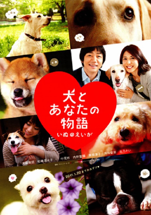 イメージ 8