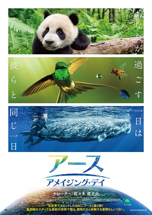 イメージ 6